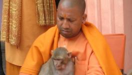 Yogi Adityanath