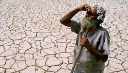 Why Farmers in Maharashtra Are Determined to Block Roads on 14th August