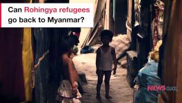 Rohingya