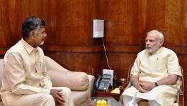 Naidu And Narendra Modi