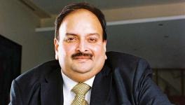 Mehul Choksi