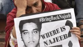 Where is Najeeb