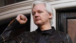 julian assange