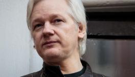 assange