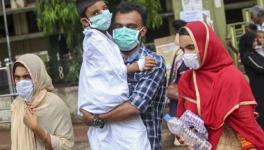 Nipah virus confirmed in Kerala