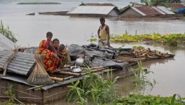 600 People Killed, Over 25 Million Affected by Floods in India, Bangladesh, Nepal & Myanmar: UN600 People Killed, Over 25 Million Affected by Floods in India, Bangladesh, Nepal & Myanmar: UN