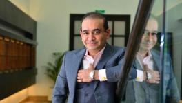 Singapore HC Orders Freezing Bank Account of Nirav Modi's Family