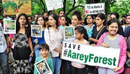 Bombay HC Declines Forest Tag for Aarey, Refuses to Stop Felling of 2,600 Trees