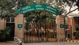 Centre Tightens Grip on NGT with Latest Appointments