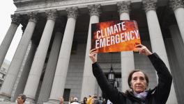 Worldwide Over 11,000 Scientists Declare Global Climate Emergency