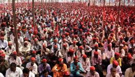 Indian Sugarcane Farmers