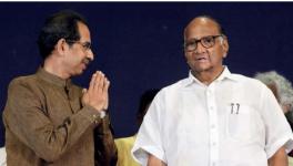 Thackeray with Pawar