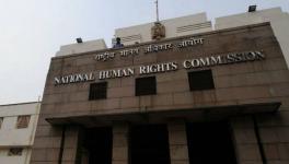 Delhi Violence: Human Rights Group Reminds