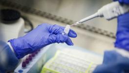 A laboratory technician prepares Covid-19 patient samples for testing at Northwell Health Labs in New York, USA. (AP)