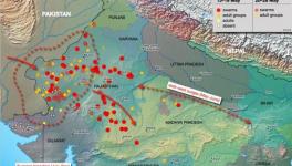 Tracing Origin of Locust Crisis That Has Hit India Hard