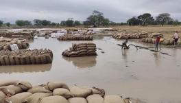 MP: Three Farmers Die after Suffering Cardiac Arrests in Queues to Sell Crops in One Week