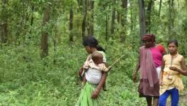 Claims of Forest Dwellers in Nine months