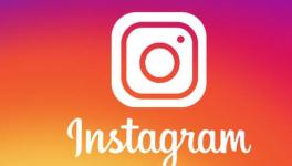 Study Says Instagram Algorithm Prioritises