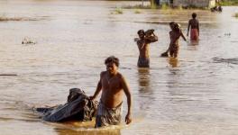 Odisha: Fear of Flood in Mahanadi, Rain-Related Death Toll Rises to 12