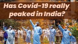  COVID-19 Cases are Declining in India?