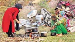 J&K: ‘Why do you Need Land?’ Eviction Threat Looms Large over Bakarwal Families