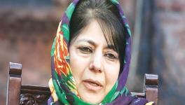 'Will Take Back What was Snatched on August 5': Mehbooba Mufti after Release from 14-month Detention