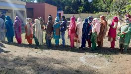 J&K Holds Maiden District Development Council Polls; West Pak Refugees Vote for First Time