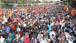 Over 50,000 Farmers Block Kolkata’s Major Road in Support of Counterparts at Delhi’s Borders