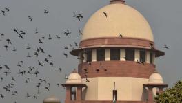 SC Issues Notice to Centre, States on Allocation of Coal Blocks in Dense Forest Areas