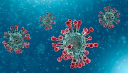 COVID-19 Reinfection: Virus Could Hide Itself in Human Chromosome, Finds New Study