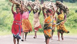 Chhattisgarh: Tribal Families Continue to Face Evictions Despite Land Claims