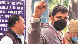 Freelance journalist Mandeep Punia granted bail