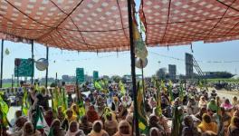 farmers protest punjab