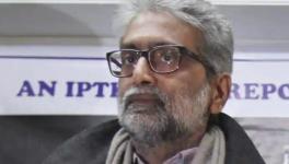 Gautam navlakha.