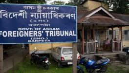 assam foreign tribunal