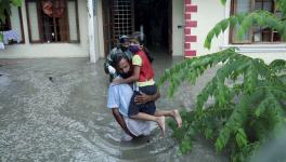 Houses Damaged, Cracks in Valiyathura Sea Bridge as Rain Continues to Lash Kerala