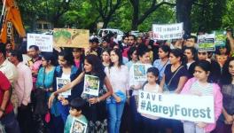 AAREY