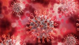 Explained: What are the Variants of the Coronavirus