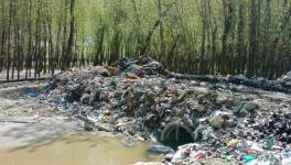 When wetlands become wastelands in J&K