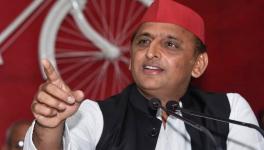 UP Elections: One BJP MLA, 6 ex-BSP Legislators Join SP; Akhilesh Taunts Ruling Party