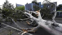 Australia: Wild Winds Leave Lakhs of Homes Without Power in Melbourne, Victoria