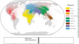 Largest Ever Human Family Tree Constructed, Eases Search for Ancestry and Migration