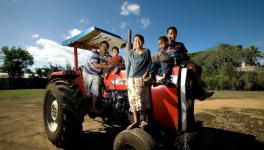 Pacific Islanders