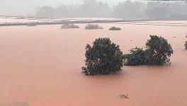 flood Vidarbha