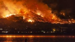 This fire started in Holy Jim Canyon 