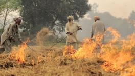 9 UP Farmers Warned of Freeze on PM-Kisan Samman Nidhi for Burning Stubble