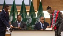 Redwan Hussien Rameto (2nd L), representative of the Ethiopian government, and Getachew Reda (2nd R), representative of the Tigray People's Liberation Front (TPLF), signed a peace agreement in Pretoria, South Africa. Photo: Alet Pretorius/Xinhua