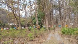 A beehive fence in Chausala, in Fatehpur range of Ramnagar division, Uttarakhand