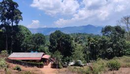 Image - The breathtaking Mudumalai Tiger Reserve.