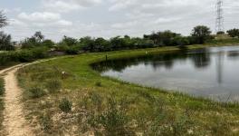 Agolai pond (Photo credit- Dinesh Bothra, 101Reporters).